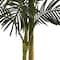 5ft. Potted Golden Cane Palm Tree